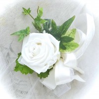 DSCF4571